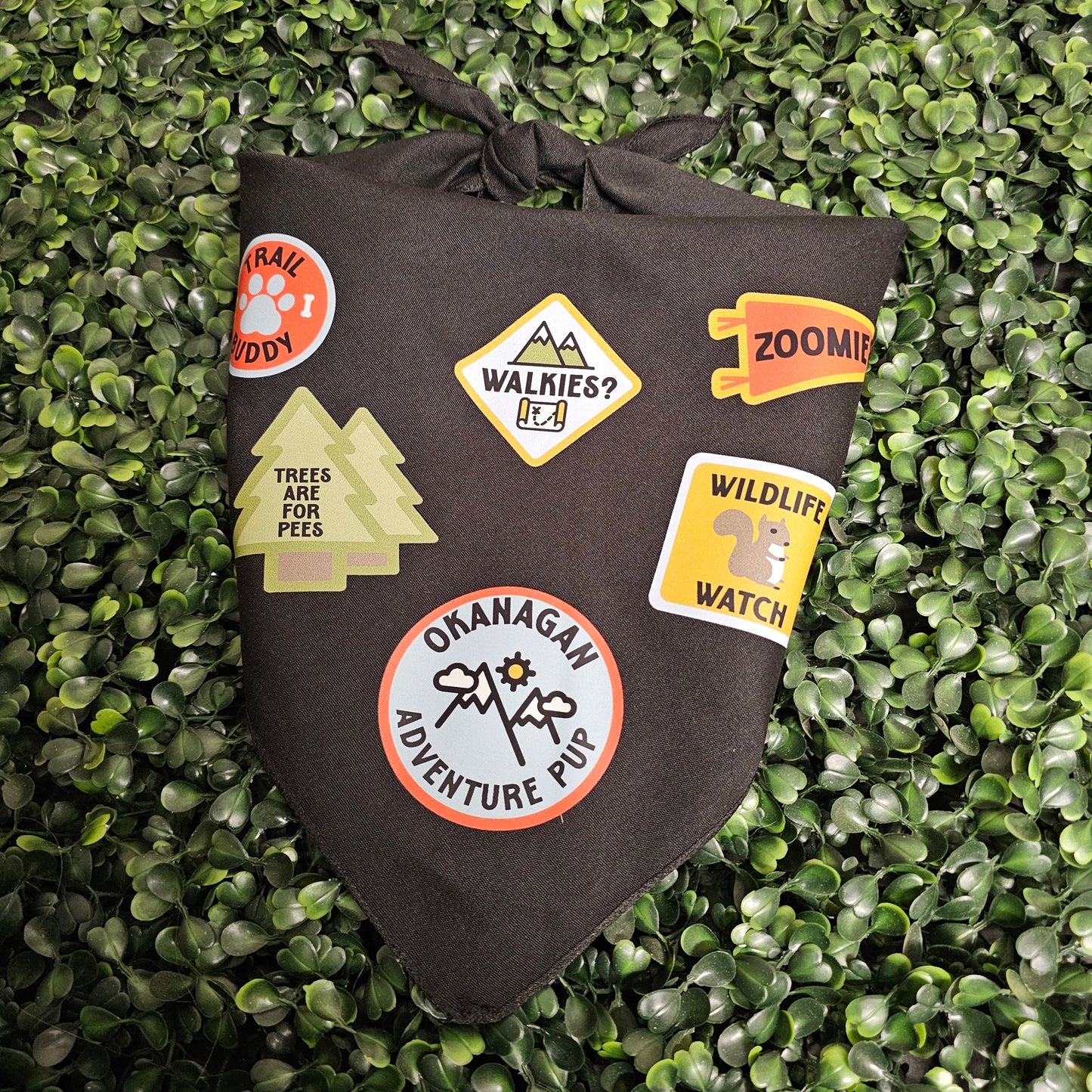 Okanagan Adventure Pup Bandana