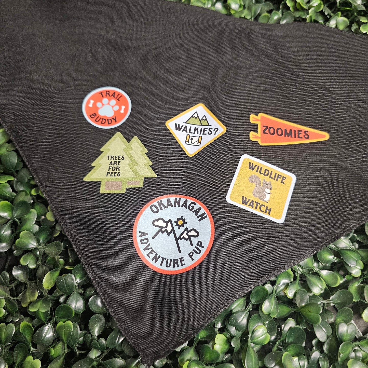 Okanagan Adventure Pup Bandana