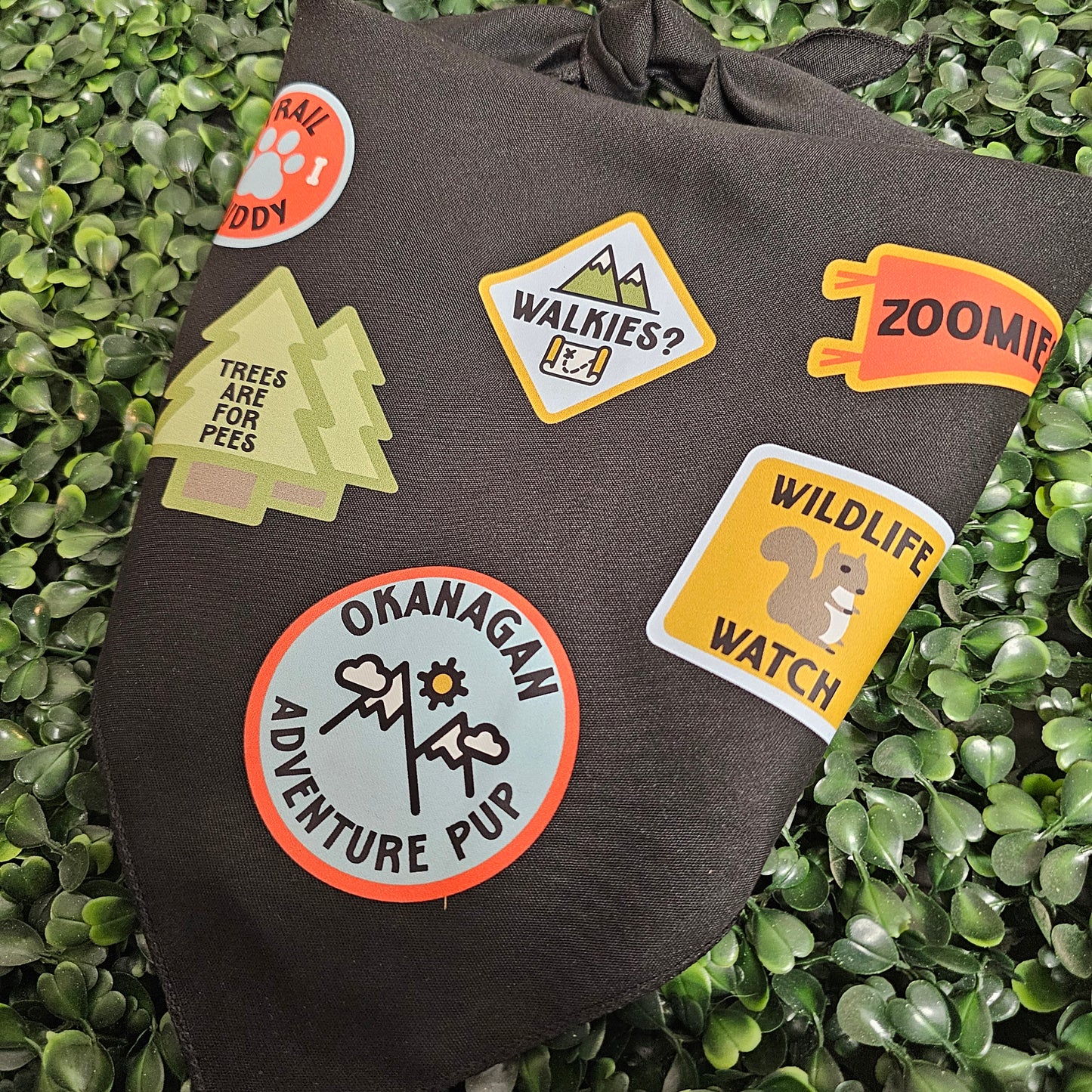 Okanagan Adventure Pup Bandana