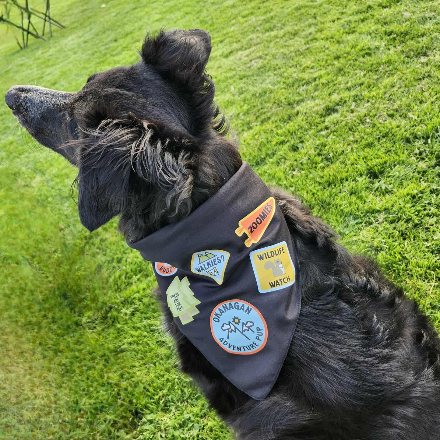 Okanagan Adventure Pup Bandana